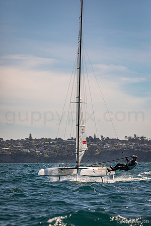 185A7809-2