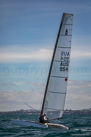 185A7793-2