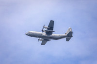 185A8775
