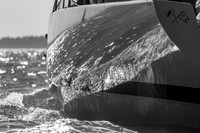 _MG_7794